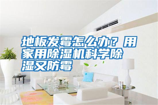 地板發(fā)霉怎么辦？用家用除濕機(jī)科學(xué)除濕又防霉