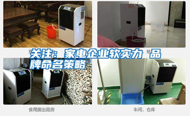 關注：家電企業軟實力 品牌命名策略