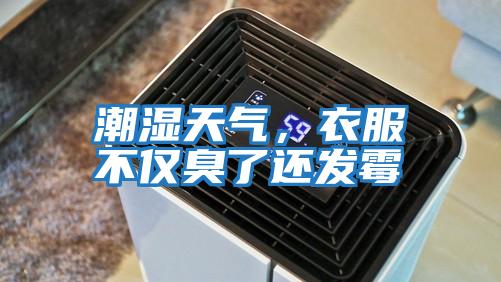 潮濕天氣,衣服不僅臭了還發霉