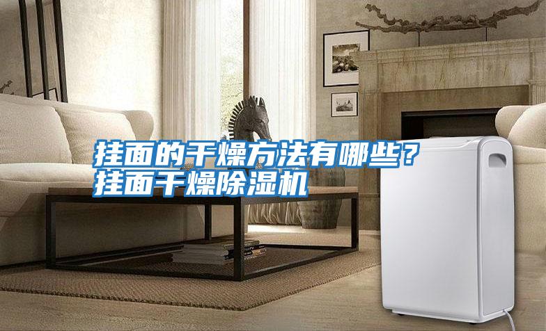 掛面的干燥方法有哪些？ 掛面干燥除濕機(jī)
