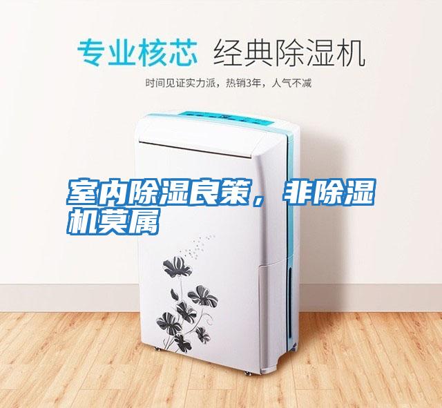 室內(nèi)除濕良策，非除濕機(jī)莫屬