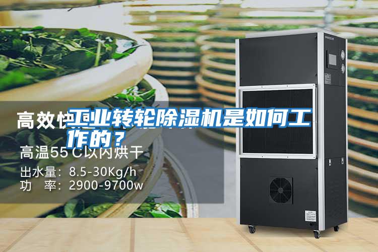 工業轉輪除濕機是如何工作的？