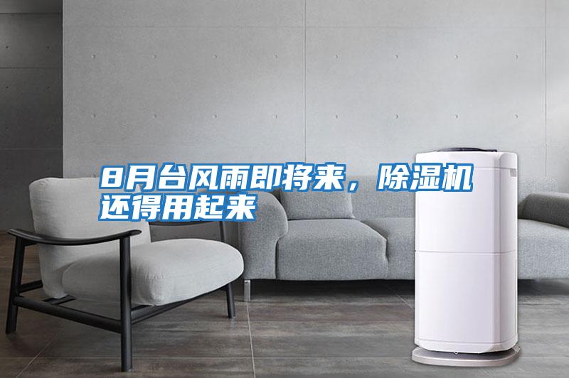 8月臺風(fēng)雨即將來，除濕機還得用起來