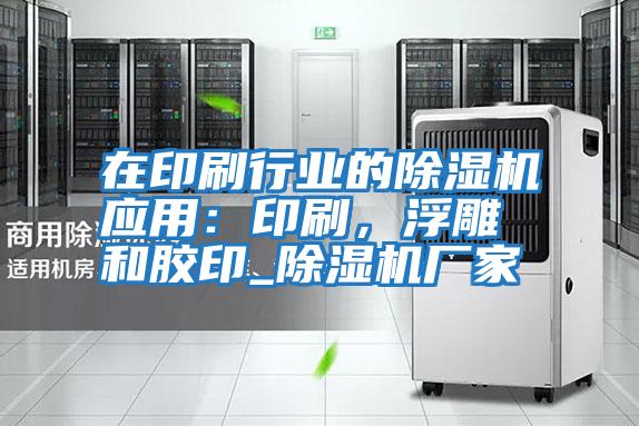 在印刷行業(yè)的除濕機(jī)應(yīng)用：印刷，浮雕和膠印_除濕機(jī)廠家