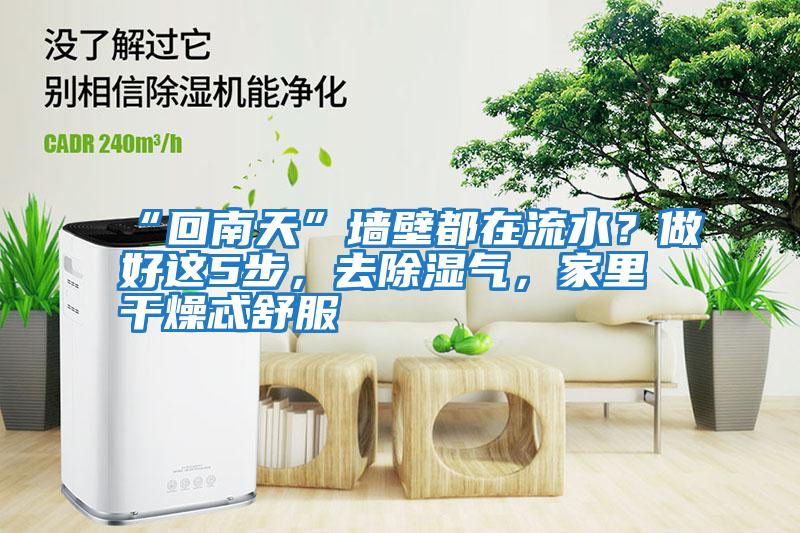 “回南天”墻壁都在流水？做好這5步，去除濕氣，家里干燥忒舒服