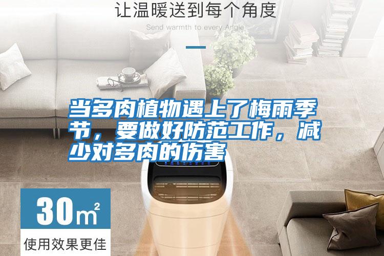 當(dāng)多肉植物遇上了梅雨季節(jié)，要做好防范工作，減少對(duì)多肉的傷害