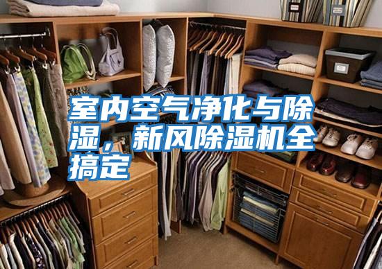 室內空氣凈化與除濕，新風除濕機全搞定