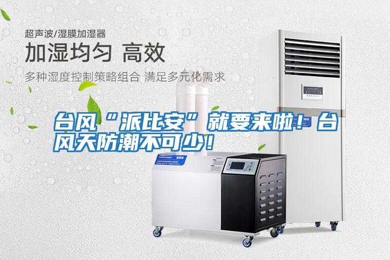 臺風“派比安”就要來啦！臺風天防潮不可少！