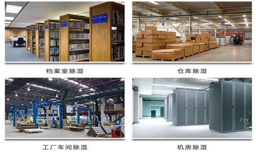 為什么竹筍烘干房需要除濕機？