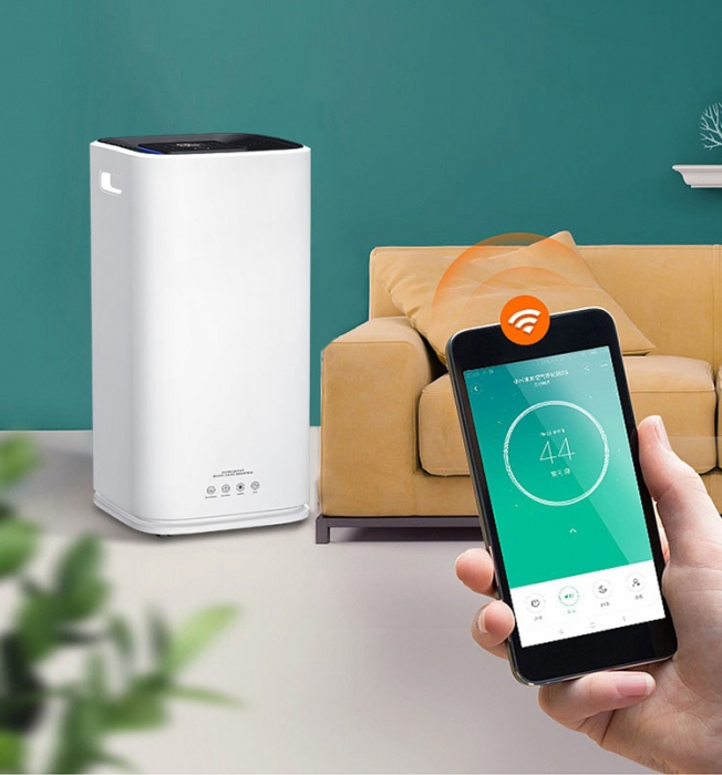 梅雨季防潮神器：空凈除濕雙管齊下！