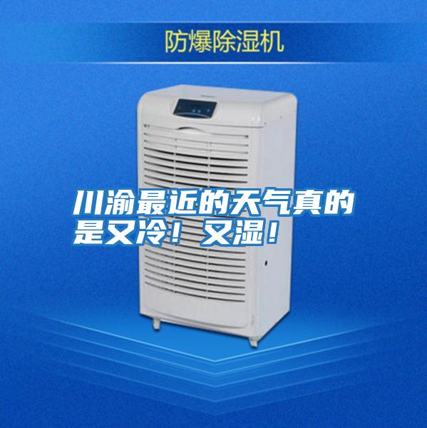 川渝最近的天氣真的是又冷！又濕！