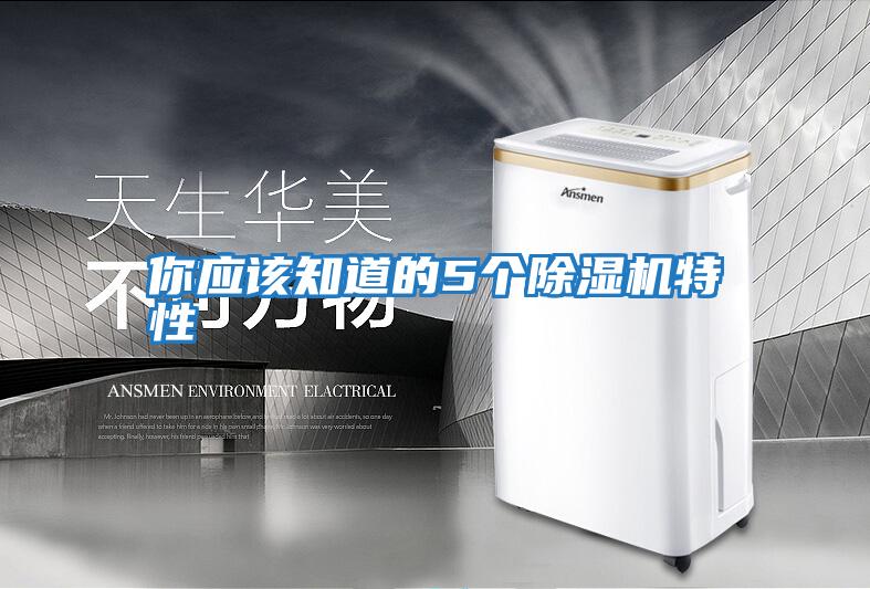 你應(yīng)該知道的5個除濕機特性
