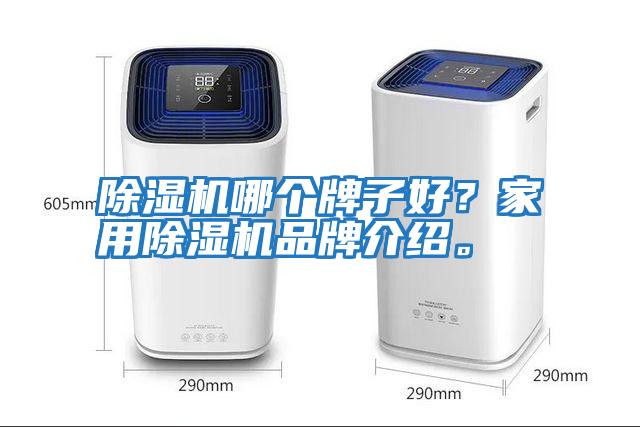 除濕機哪個牌子好？家用除濕機品牌介紹。