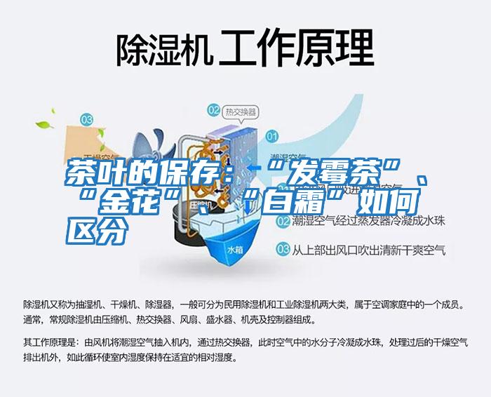 茶葉的保存：“發(fā)霉茶”、“金花”、“白霜”如何區(qū)分