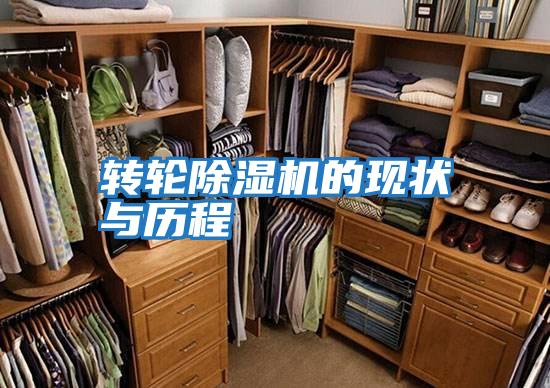 轉輪除濕機的現(xiàn)狀與歷程