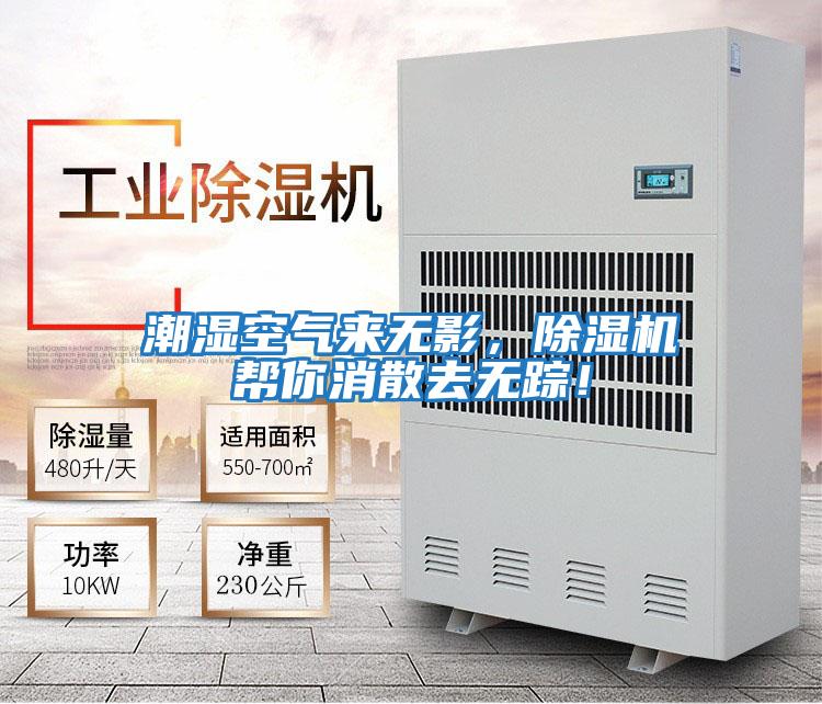 潮濕空氣來無影，除濕機幫你消散去無蹤！