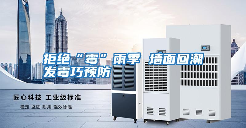 拒絕“霉”雨季 墻面回潮發霉巧預防