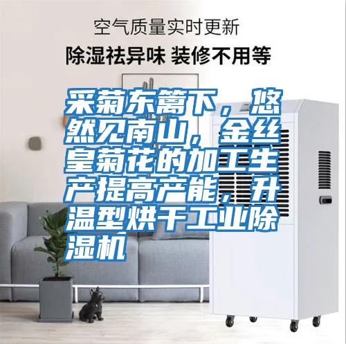 采菊東籬下，悠然見南山，金絲皇菊花的加工生產(chǎn)提高產(chǎn)能，升溫型烘干工業(yè)除濕機