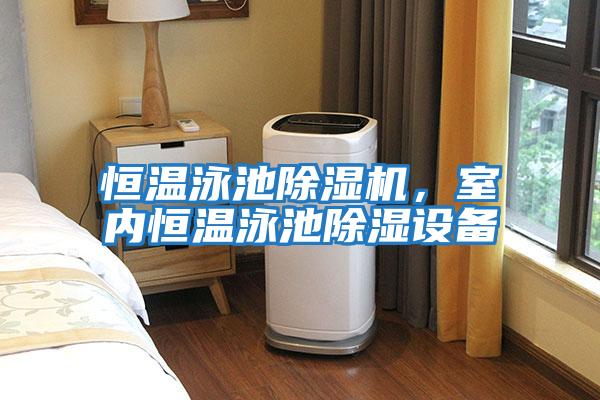 恒溫泳池除濕機，室內恒溫泳池除濕設備