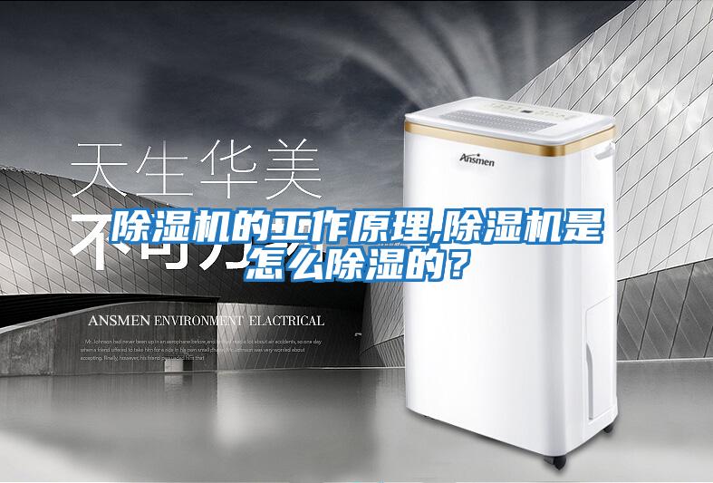 除濕機(jī)的工作原理,除濕機(jī)是怎么除濕的？