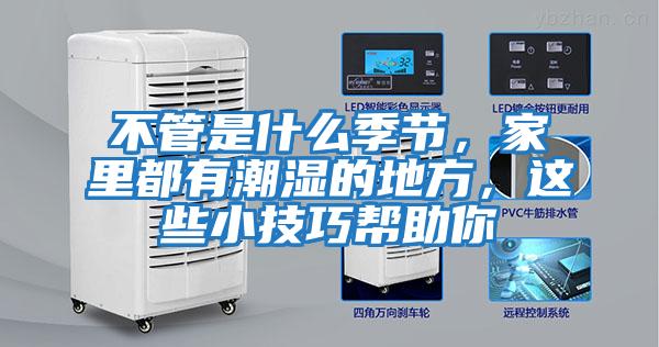 不管是什么季節(jié),家里都有潮濕的地方,這些小技巧幫助你