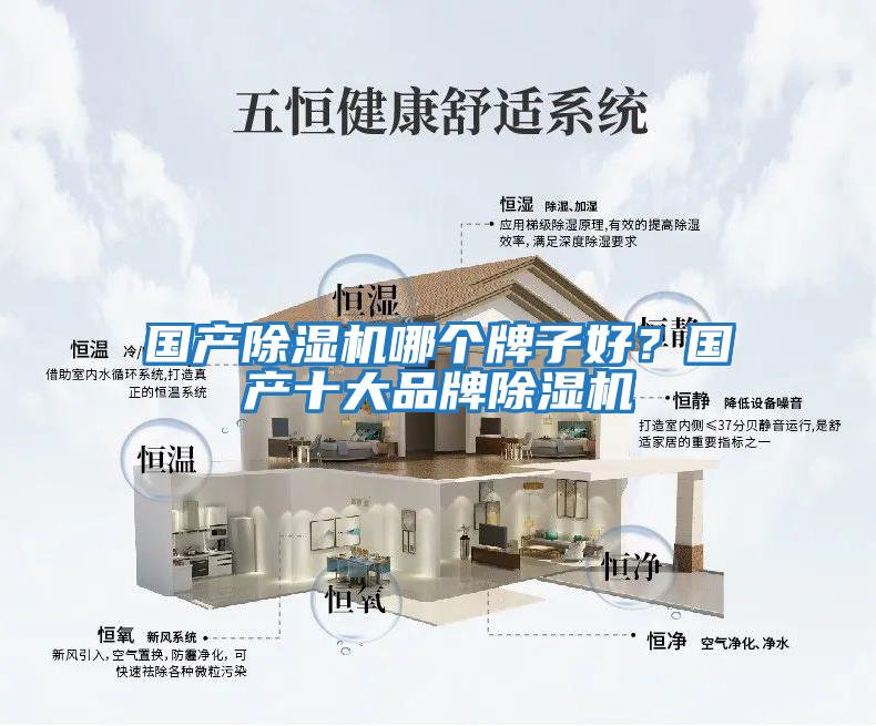 國產(chǎn)除濕機哪個牌子好？國產(chǎn)十大品牌除濕機