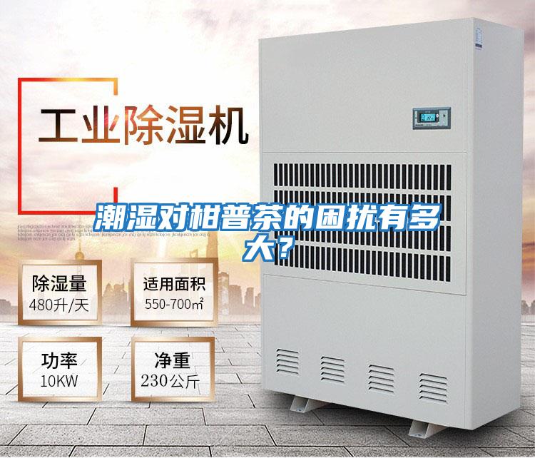 潮濕對柑普茶的困擾有多大？