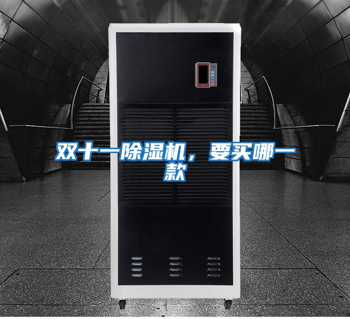 雙十一除濕機，要買哪一款