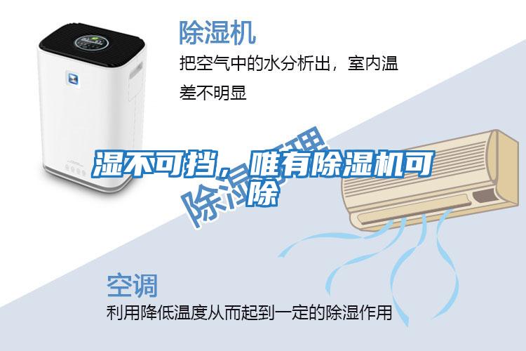 濕不可擋，唯有除濕機可除