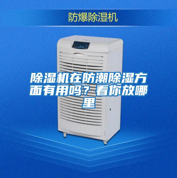 除濕機在防潮除濕方面有用嗎？看你放哪里