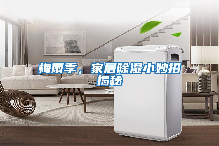 梅雨季，家居除濕小妙招揭秘