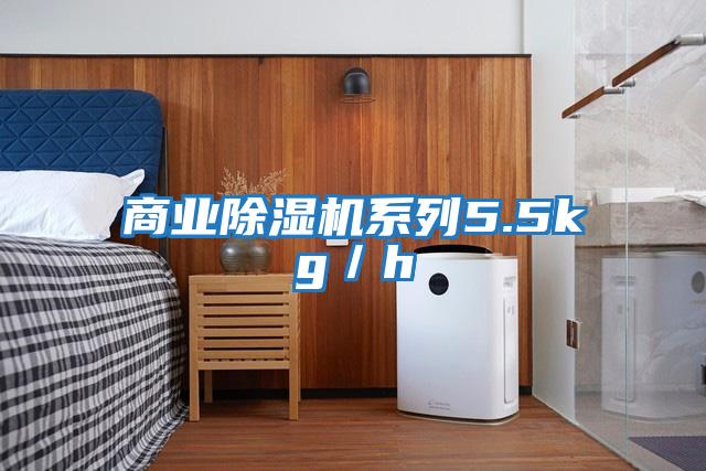 商業除濕機系列5.5kg/h