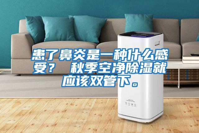 患了鼻炎是一種什么感受？ 秋季空凈除濕就應(yīng)該雙管下。