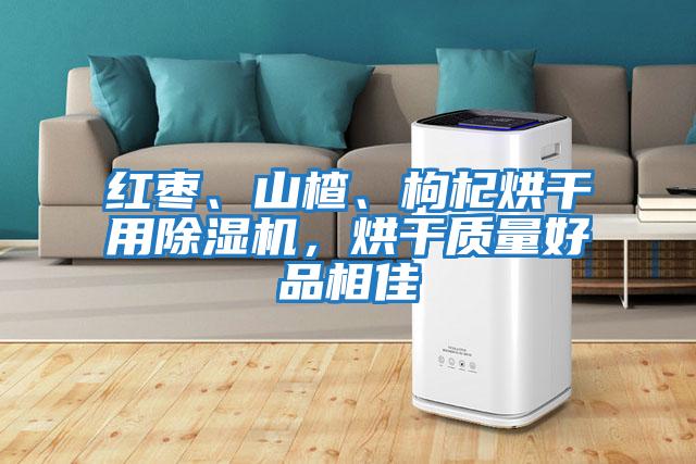 紅棗、山楂、枸杞烘干用除濕機(jī)，烘干質(zhì)量好品相佳