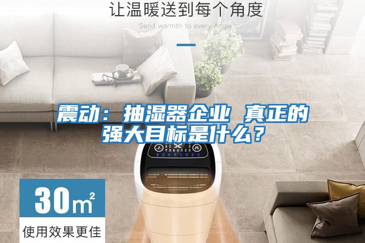 震動：抽濕器企業 真正的強大目標是什么？