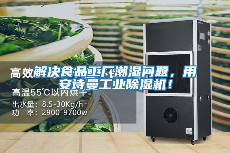 解決食品工廠潮濕問題，用安詩(shī)曼工業(yè)除濕機(jī)！