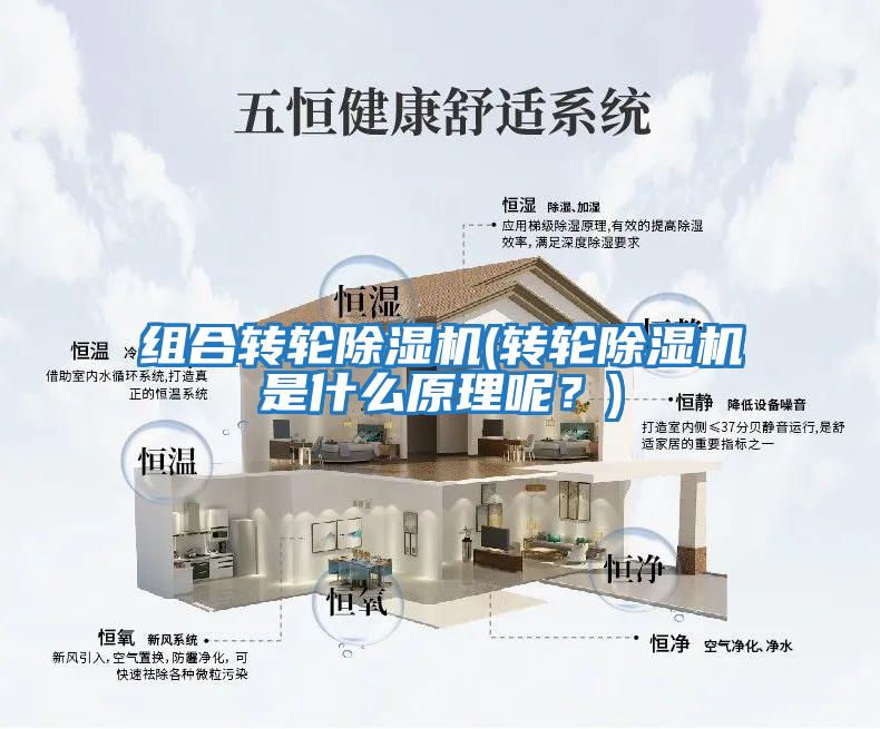 組合轉(zhuǎn)輪除濕機(轉(zhuǎn)輪除濕機是什么原理呢？)