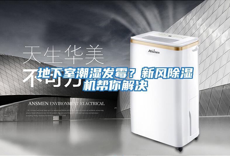 地下室潮濕發霉？新風除濕機幫你解決