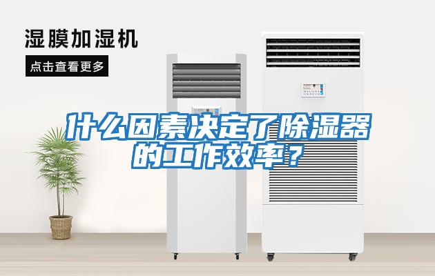 什么因素決定了除濕器的工作效率？