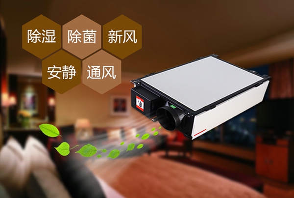 【美發護發】→冬天頭發有頭屑怎么辦 冬天頭發干燥怎么辦