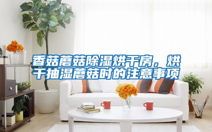 香菇蘑菇除濕烘干房，烘干抽濕蘑菇時的注意事項