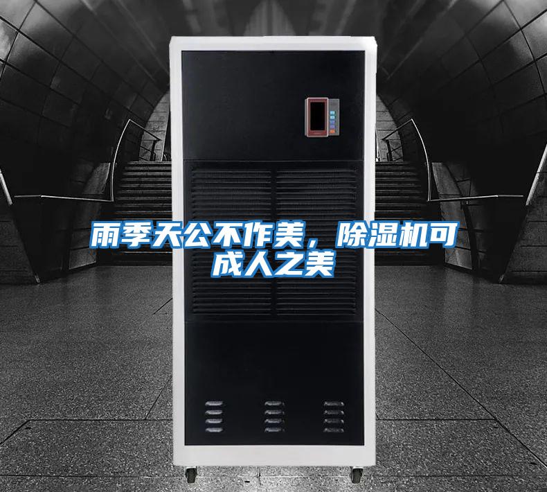 雨季天公不作美，除濕機(jī)可成人之美