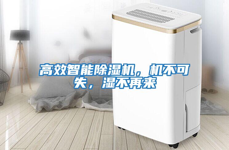高效智能除濕機，機不可失，濕不再來