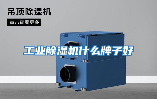 工業除濕機什么牌子好