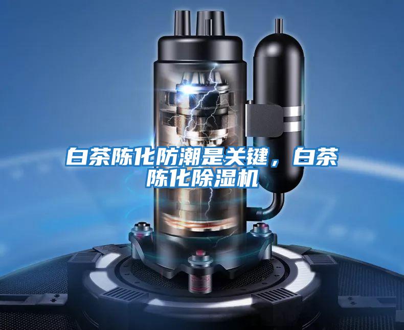 白茶陳化防潮是關(guān)鍵，白茶陳化除濕機(jī)