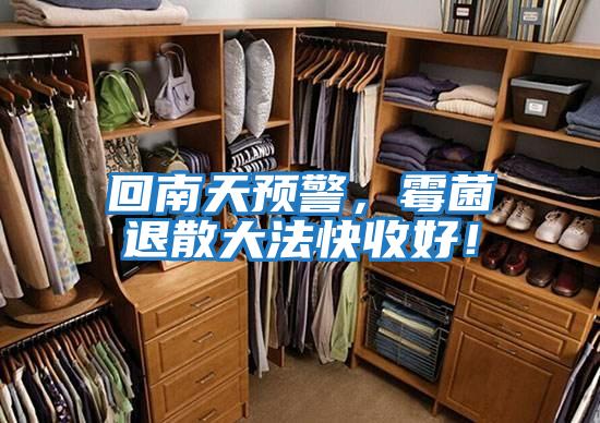 回南天預警,霉菌退散大法快收好!