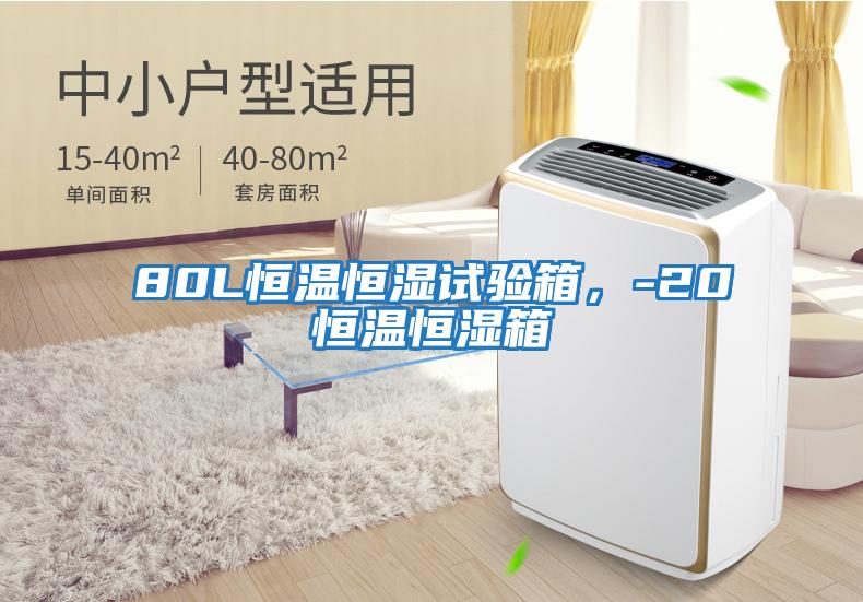 80L恒溫恒濕試驗箱，-20℃恒溫恒濕箱