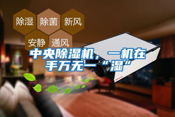 中央除濕機，一機在手萬無一“濕”