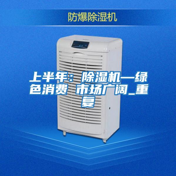 上半年:除濕機(jī)—綠色消費(fèi) 市場廣闊_重復(fù)