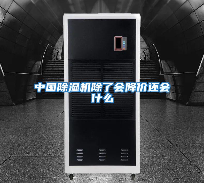 中國除濕機(jī)除了會降價(jià)還會什么